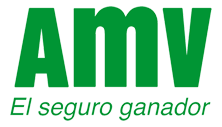 amv_logo_222